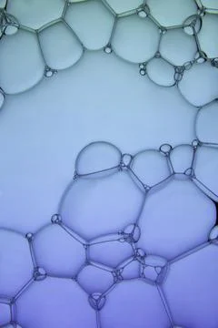 Abstract background of soap bubbles on gradient background Stock Photos