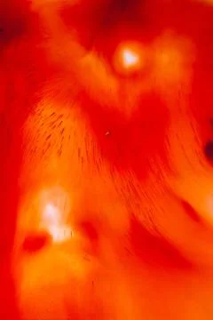Abstract background, soft and blurry style Stock-Fotos