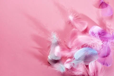 Abstract background with soft pink feathers and shadows, Flat lay, copy space Stock Photos