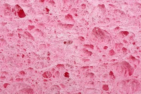 Abstract background: sponge close-up Stock Photos