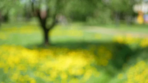 Abstract background - spring landscape. Stock Footage 161831966