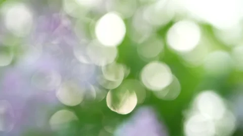Abstract background - spring landscape. Stock Footage 231961860