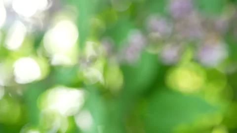 Abstract background - spring landscape. Stock Footage 231963190