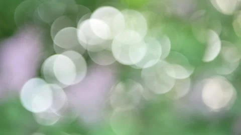 Abstract background - spring landscape. Stock Footage 231964138