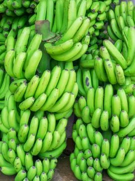 Abstract background with a stack of green bananas Stock Photos