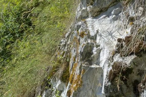 Abstract background. Stone formation of a sheer cliff close-up. Stock Photos
