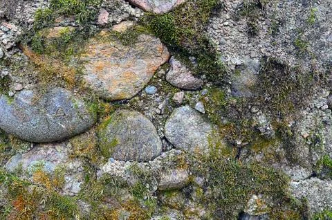 Abstract background. stone wall covered with moss Stock Photos