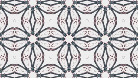 Abstract background of symmetric flowers Stock Footage 134822792