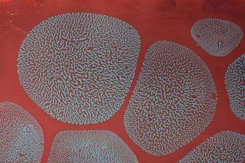 Abstract background texture with  Ebru marbling painting with patterns Stock Photos