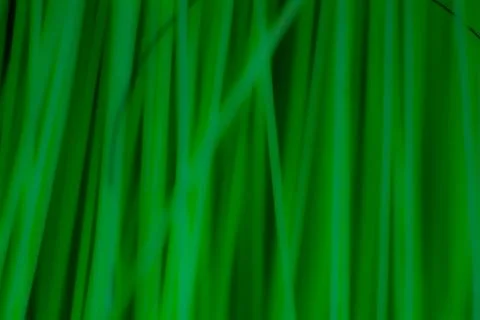 Abstract background texture plastic detail green line pattern with noise Stock Photos