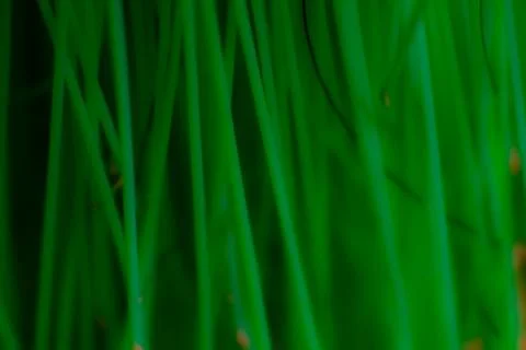 Abstract background texture plastic detail green line pattern with noise Stockfoto's