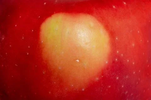 Abstract background texture of red apple macro photo. Stock Photos