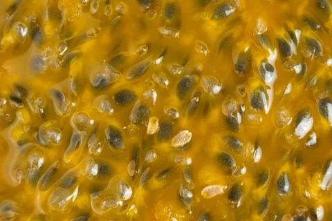 Abstract background texture of ripe passion fruit pulp with seeds Stock Photos