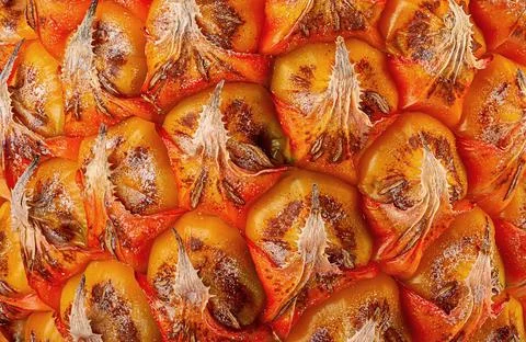 Abstract background texture ripe pineapple close up Stock Photos