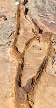 Abstract background texture of the   rock Stock Photos