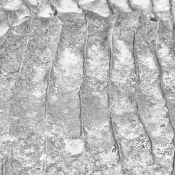 Abstract background texture of the   rock Stock Photos