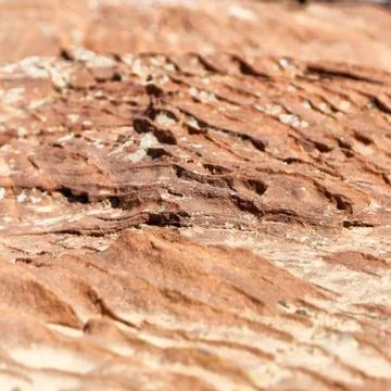 Abstract background texture of the   rock Stock Photos