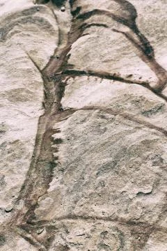 Abstract background texture of the   rock Stock Photos