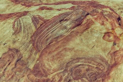 Abstract background texture of the   rock Stock Photos