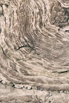 Abstract background texture of the   rock Stock Photos