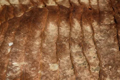 Abstract background texture of the   rock Stock Photos