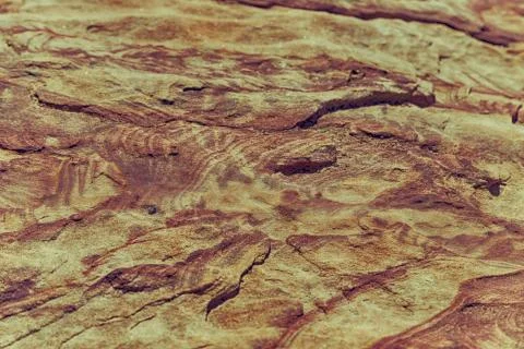 Abstract background texture of the   rock Stock Photos
