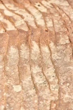 Abstract background texture of the   rock Stock Photos