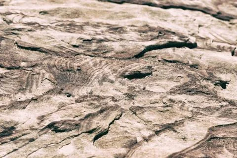 Abstract background texture of the   rock Stock-Fotos