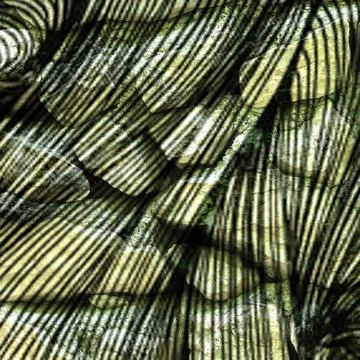 Abstract background texture with striped shadow pattern cast over stacked green Stock Photos