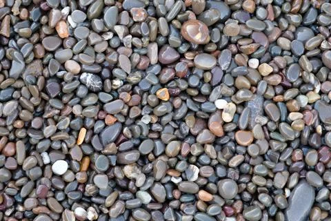 Abstract background textured with smooth, multicolored, round, wet pebbles. c 写真素材