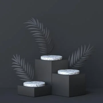 Abstract background three palm leafs and white marble cylinder 3D Stock Illustration