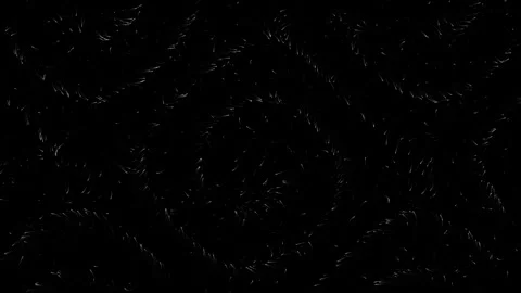 Abstract background with tiny white curved lines forming a chaotic pattern .. Video stock 343611610
