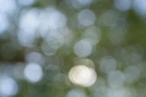 Abstract background of tree and sky with nice bokeh. Stock Photos
