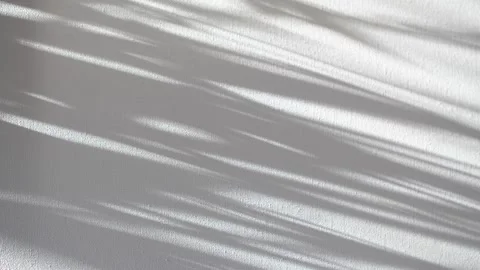 Abstract background of tree branch leaves silhouette shadows motion on grey wall Stock Footage 306117998