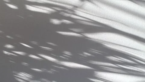Abstract background of tree branch leaves silhouette shadows motion on grey wall Video stock 306640457