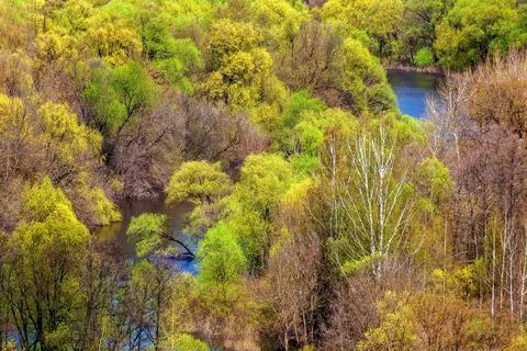 Abstract background of tree crowns through which the riverbed makes its way Stock Photos