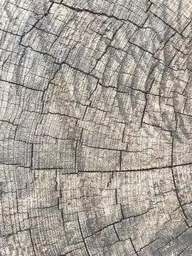Abstract background from a tree intersection Stock Photos