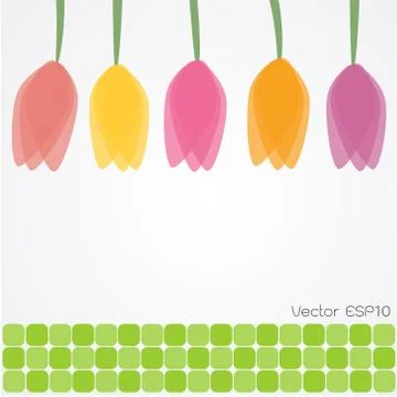 Abstract background with tulip flower. Stock Illustration