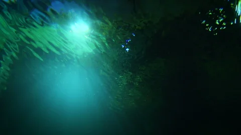 Underwater Footage Using GREEN LIGHTS! 