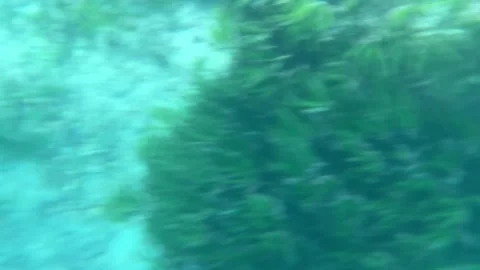 Abstract Background Underwater Stock Footage 311353768