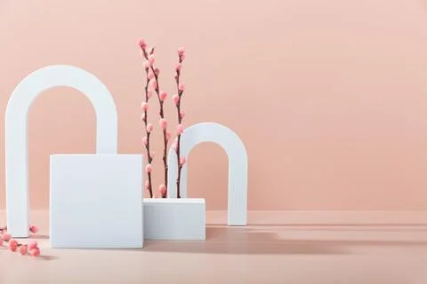 Abstract background with various geometric shapes and spring branches for p.. Stock Photos