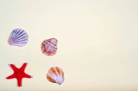 Abstract background of various shells on yellow Stock Photos