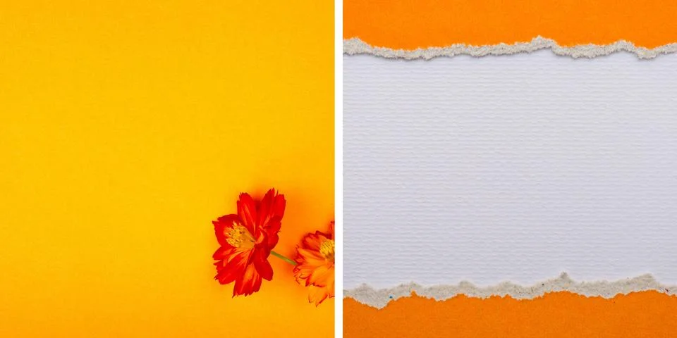 Abstract background vector illustration. Orange background vector illustrat.. Stock Illustration