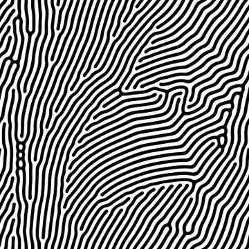 Abstract background of vector organic irregular lines maze pattern Stock Illustration