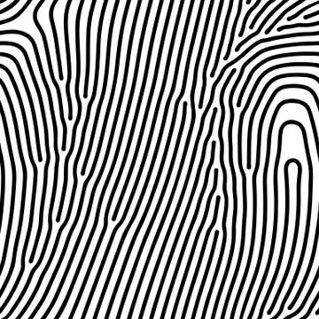 Abstract background of vector organic irregular lines maze pattern イラスト素材