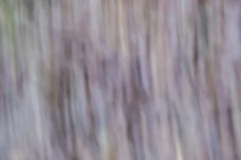 Abstract background vertical lines Stock Photos