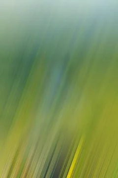 Abstract background, vertical multicolored stripes of green - yellow scale .. Stock Illustration