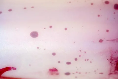 Abstract background of vibrant red liquid ink and droplets spreading on a l.. 스톡 사진