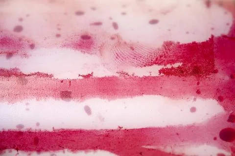 Abstract background of vibrant red liquid ink and droplets spreading on a l.. 스톡 사진