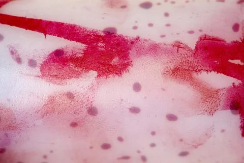 Abstract background of vibrant red liquid ink and droplets spreading on a l.. Stock Photos